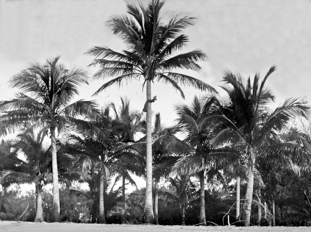 Queensland State Archives - Récit · Intime · Vie