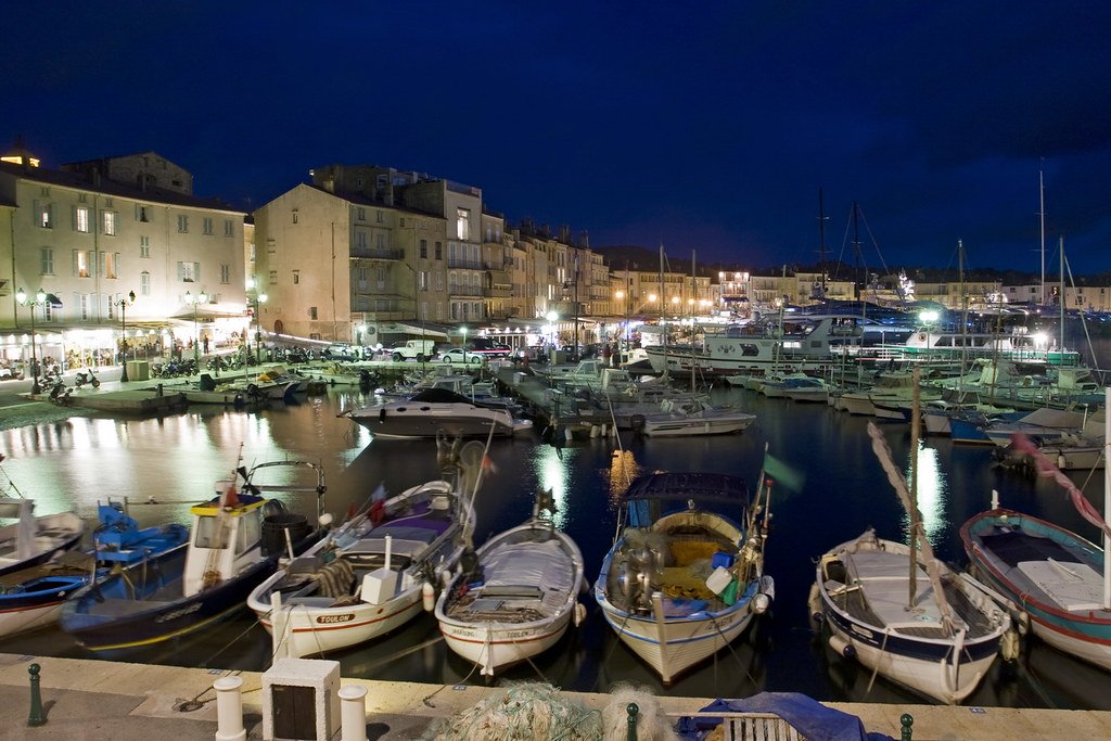 bibendum84 — À Saint-Tropez, une louve aperçue le 27 septembre : la mairie appelle à la vigilance