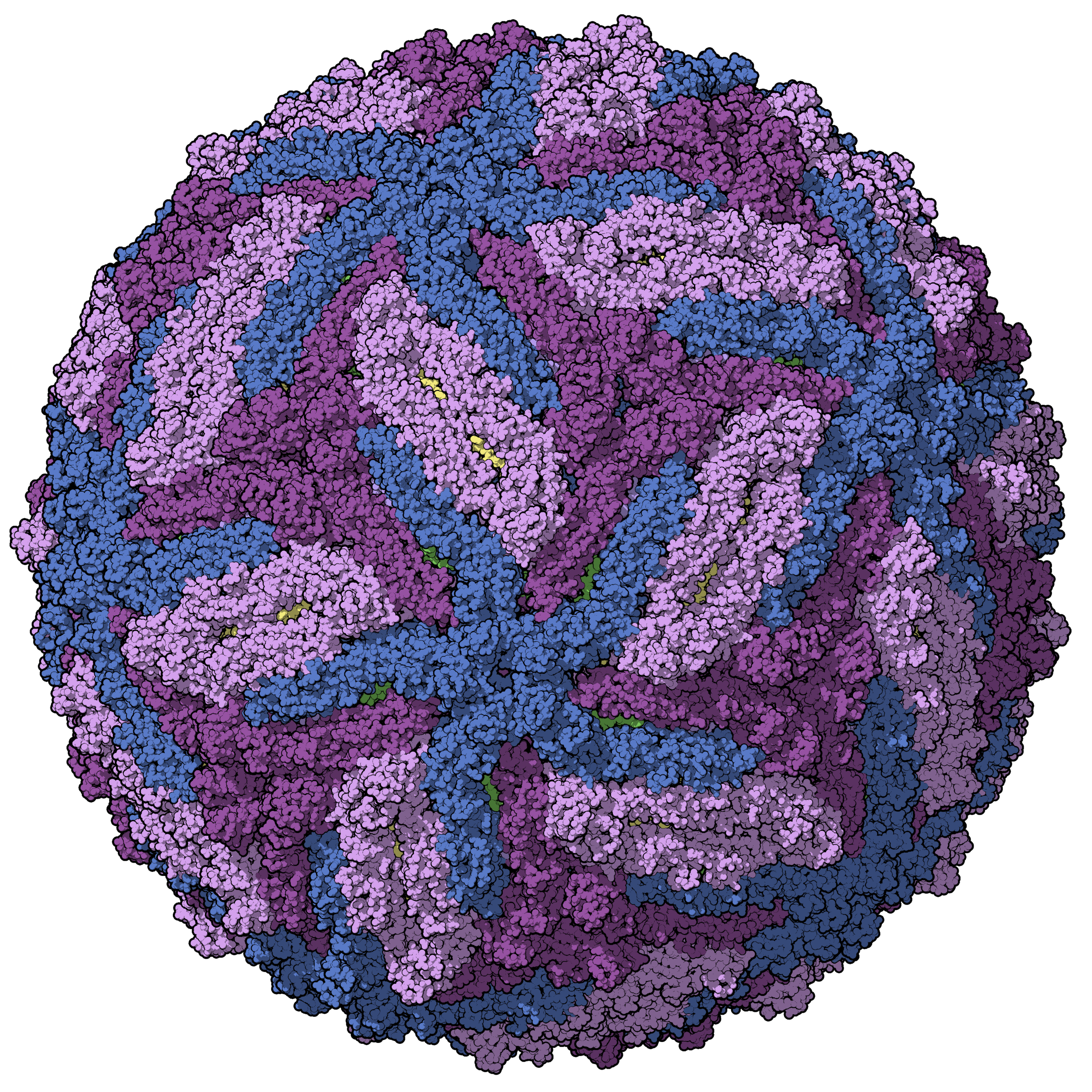 Manuel Almagro Rivas — Zika : malgré une faible circulation, la surveillance et la recherche vaccinale se poursuivent