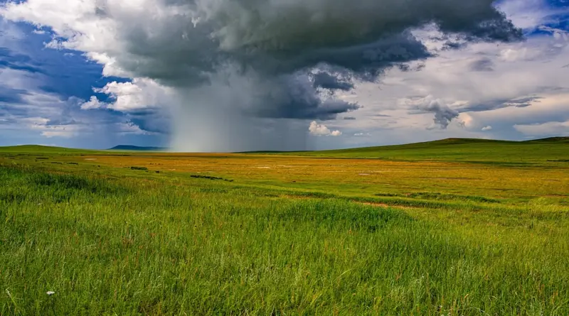 weather, forecast, meteorology, climate, temperature, rain, rainfall, storm, thunderstorm