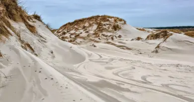 Nouvelle-Aquitaine, Bordeaux, Biarritz, dune, ocean, vineyard, forest, landscape