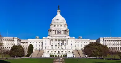 government, official announcement, announcement, politics, policy, legislation