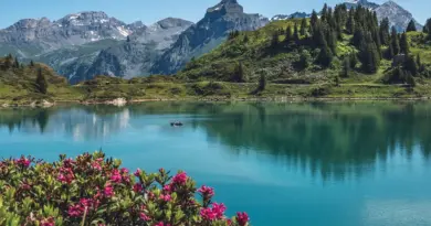 Auvergne-Rhône-Alpes, Lyon, Annecy, Alps, volcano, lake, mountain, ski, village