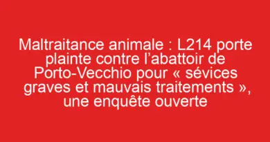 Image illustrant le contenu de l’article.