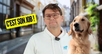 Comment sont formés les chiens guides ? Un éducateur présente son métier