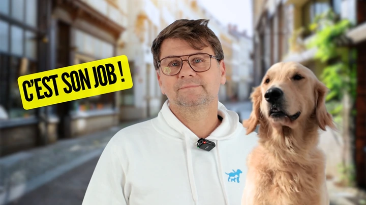 Comment sont formés les chiens guides ? Un éducateur présente son métier