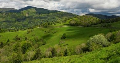 BFM CLIMAT