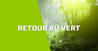 Guadeloupe : retour au vert après le passage d'Humberto
