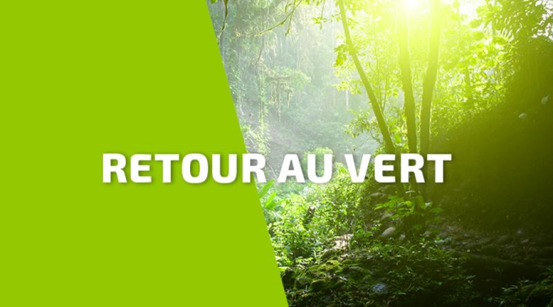 Guadeloupe : retour au vert après le passage d'Humberto