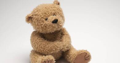 La «peluchologie», une science pour comprendre comment se forge notre rapport à la nature - Le Temps