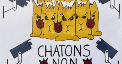 Les chatons ne veulent pas de Chat Control