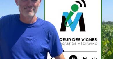 Muscadet I Communale La Haye-Fouassière I Domaine des Troits Toits, Vincent Barbier, un laboratoire pour le Muscadet (Extrait) cover