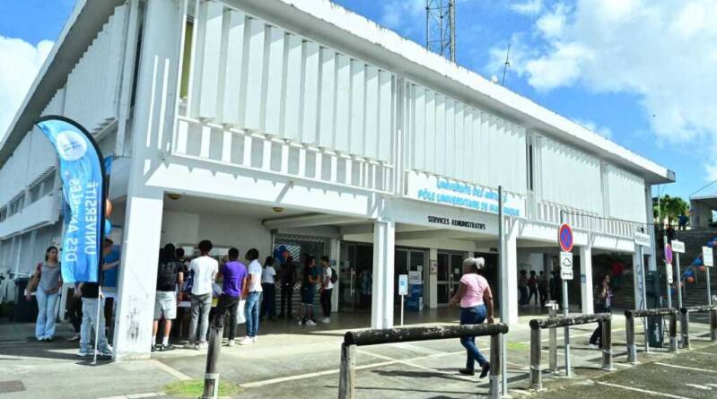 Université : le master Français langue étrangère au cœur d'une crise
