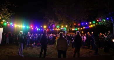 10 ans de magie nocturne : le Jour de la Nuit dans les Landes de Gascogne fête son anniversaire sous les étoiles