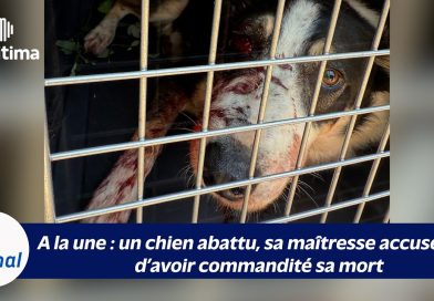 Fos-sur-Mer : Un Nouveau Chapitre Électrique S’ouvre ! 10 octobre 2025 : Édition spéciale de Maritima TV