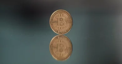 Bitcoin en 2025 : bulle spéculative ou croissance durable ?