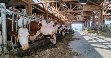 Jean-Baptiste Kaiser : le service de remplacement des agriculteurs recherche des remplaçants