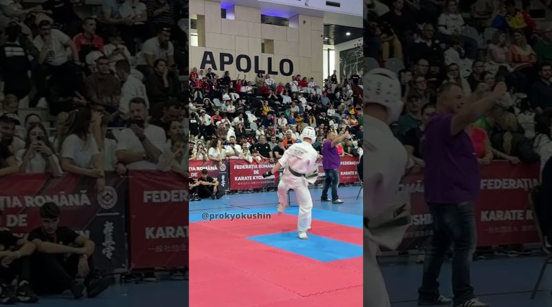 12e Challenge Cup de Bucarest - 18 octobre 2025