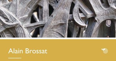 Alain Brossat, Écrire au bord du gouffre. Victor Klemperer ou la résistance dans la langue