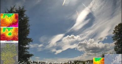 16.06.2024 - Analyse des Tendances et Valeurs Quotidiennes