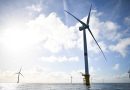 Éolien en mer en France : enjeux entre urgence climatique et protection de la biodiversité
