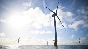 Éolien en mer en France : enjeux entre urgence climatique et protection de la biodiversité