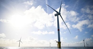 Éolien en mer en France : enjeux entre urgence climatique et protection de la biodiversité