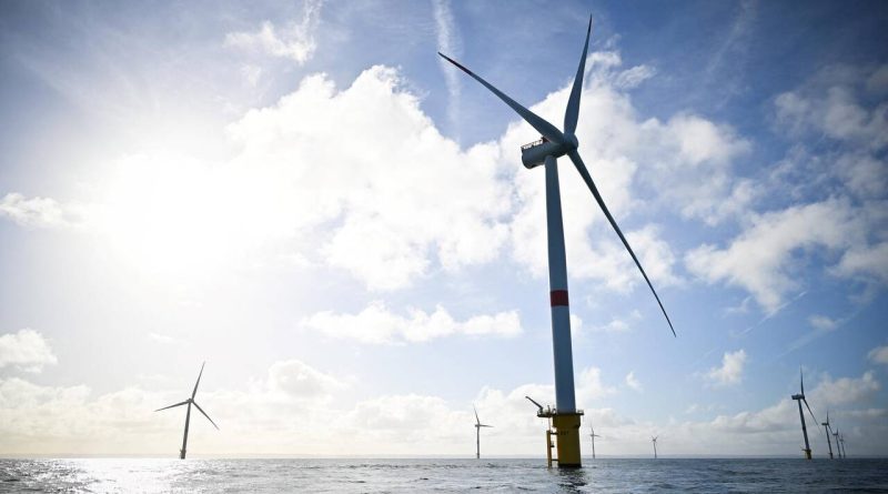 Éolien en mer en France : enjeux entre urgence climatique et protection de la biodiversité