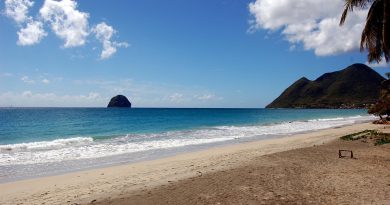 Martinique, Fort-de-France, beach, volcano, palm, rainforest, Creole, boat, island