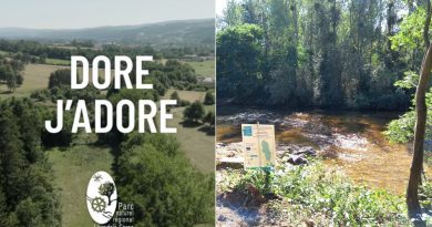 Explorez le Bassin Versant de la Dore dans le Parc Livradois Forez