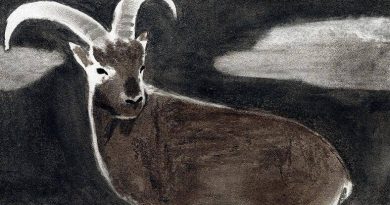 Héros de livres jeunesse : en solo ou en groupe, une exploration par Le Temps