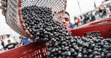 Une cheffe cuisinière amazonienne intègre l'alimentation dans la diplomatie climatique