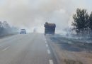 20 hectares brûlés par un feu de savane à Macouria
