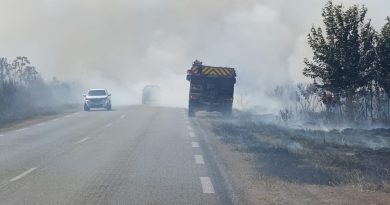 20 hectares brûlés par un feu de savane à Macouria