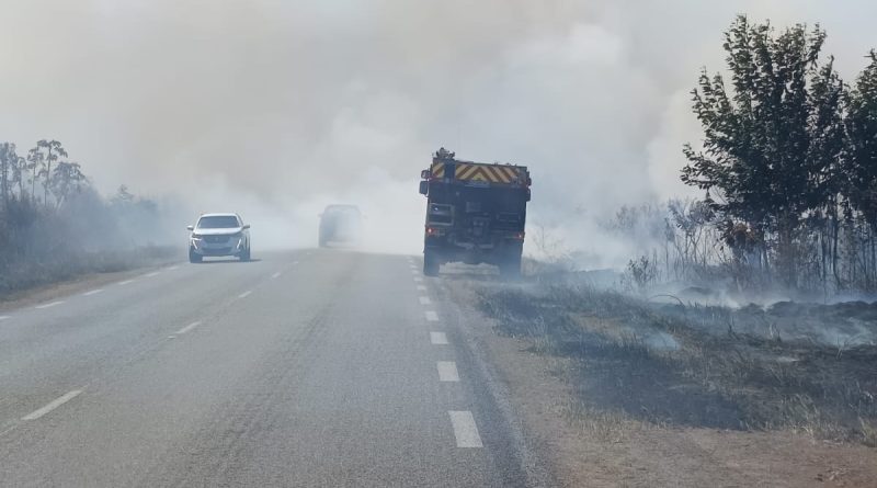 20 hectares brûlés par un feu de savane à Macouria