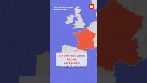 2025 : l’Europe en flammes | Incendies records dans l’UE