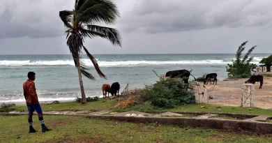 Melissa atteint des vents de près de 300 km/h, devenant la tempête tropicale la plus puissante de 2025