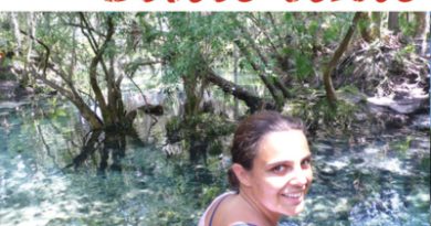 Voyager-aux-Etats-Unis.com Le Podcast