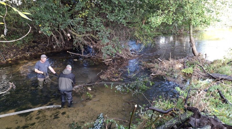 Des pêcheurs du Calvados nettoient des rivières pour favoriser la reproduction des salmonidés.
