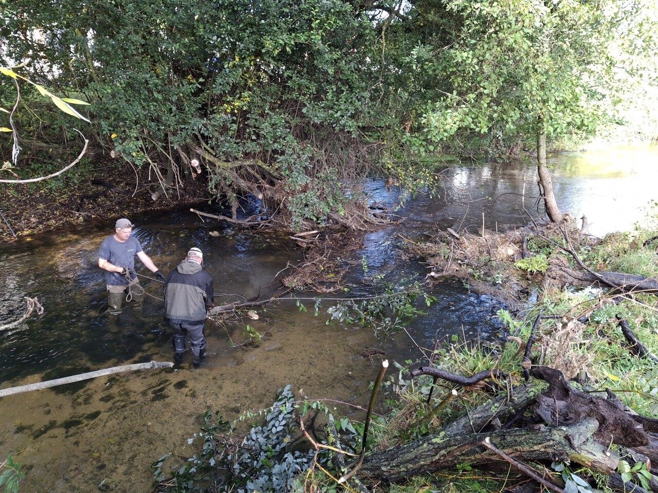 Des pêcheurs du Calvados nettoient des rivières pour favoriser la reproduction des salmonidés.