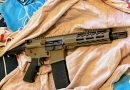 5 et 6 ans de prison pour détention d'armes