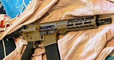 5 et 6 ans de prison pour détention d'armes