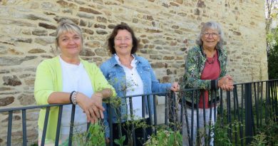 5 idées pour sortir ce week-end dans le centre Morbihan