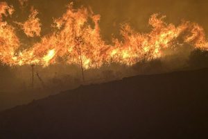 Tempête Benjamin en Haute-Corse : 14 incendies criminels signalés, des actes de malveillance
