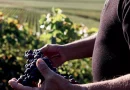 Découvrez ce champagne apprécié par les amateurs de pinot noir