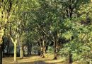 Météo en Belgique : week-end frais avec instabilité samedi et temps sec dimanche