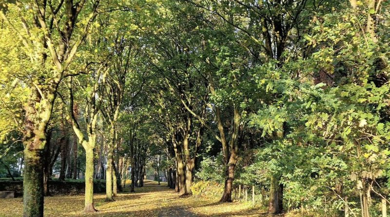 Météo en Belgique : week-end frais avec instabilité samedi et temps sec dimanche