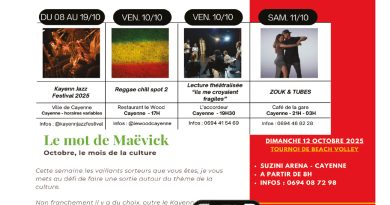 7 idées sorties pour cette semaine
