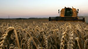La politique agricole commune de l'Union européenne et la désinformation : état des lieux
