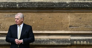 Le prince Andrew aurait sollicité un agent pour obtenir des informations sur Giuffre.